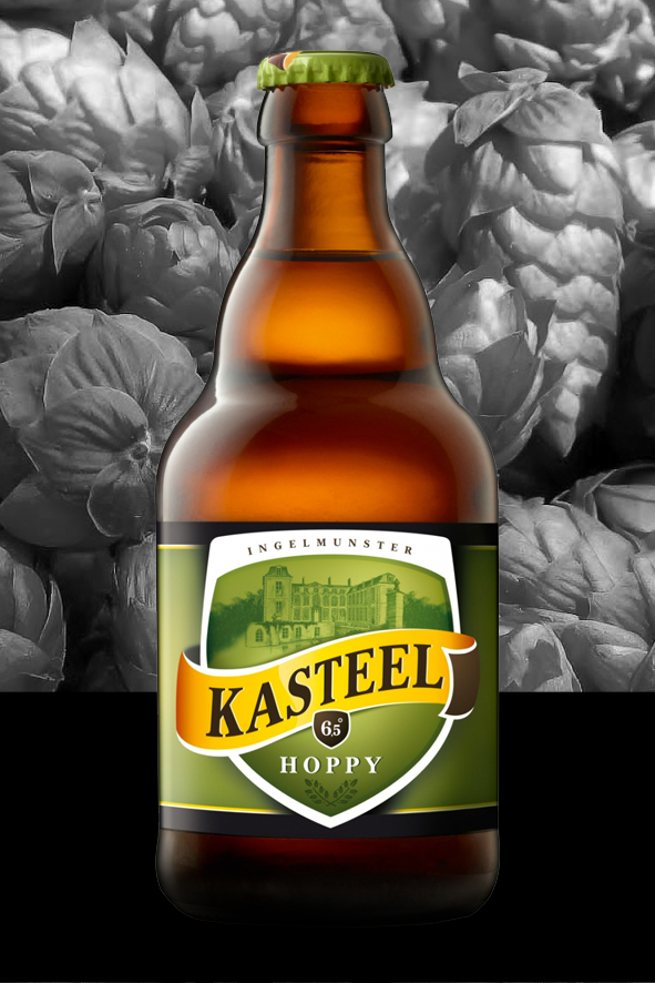 Kasteel Hoppy 1